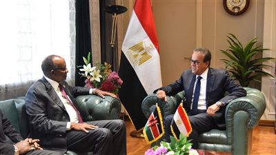 مصر وكينيا تبحثان تعزيز التعاون الصحي وأمن الدواء بأفريقيا