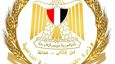 التموين تطبق منظومة الوثائق المؤمنة للسجل التجاري وتوسع الخدمات عبر البريد
