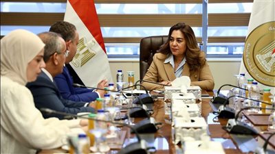 وزيرة التنمية المحلية والبيئة تبحث مع المهندسين تعزيز التعاون التنموي المشترك