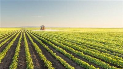 جدوى للتنمية الصناعية تعتمد عقود معاوضة بقيمة ملياري جنيه مع الدولية للمحاصيل الزراعية خلال 2026