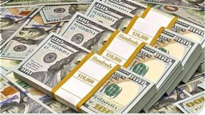 الدولار يخسر 8 قروش ويهبط أمام 