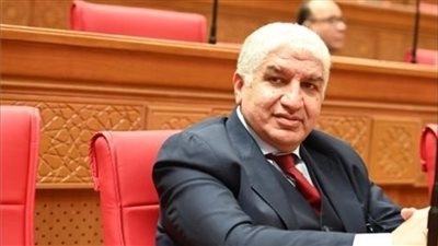 سؤال برلماني حول تكلفة ومعايير اختيار البعثة الإعلامية لمنتخب مصر