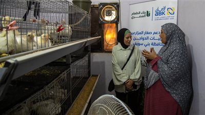 البنك الأهلي الكويتي – مصر وبنك الطعام المصري يطلقان شراكة ل