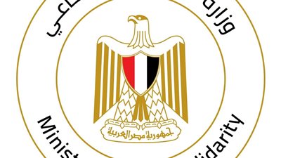 التضامن الاجتماعي: فرق التدخل السريع تنجح في إنقاذ أطفال وكبار بلا مأوى وإعادة الأمل للفئات الأولى بالرعاية في 8 محافظات