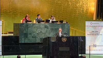 وزير التخطيط يؤكد التزام مصر بالتنمية المستدامة وتعزيز الشراكات الدولية خلال المنتدى السياسي