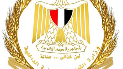 التموين تضبط 130 طنًا سلعًا مخالفة وتحبط تهريب البوتاجاز والسولار بإحدى عشرة محافظة