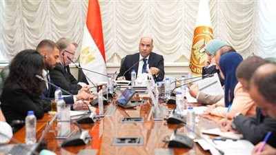 وزير العمل ومنظمة العمل الدولية يضعان خارطة طريق وخطة تنفيذية لإطلاق البرنامج الوطني للعمل اللائق في مصر 