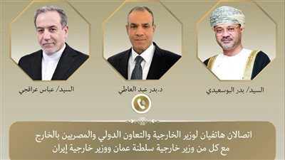 وزير الخارجية يبحث هاتفياً مع نظيريه الإيراني والعماني جهود خفض التصعيد وضمان حرية الملاحة