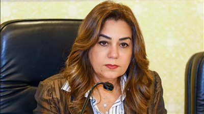 وزيرة التنمية المحلية والبيئة تتابع حملات النظافة وإزالة المخالفات وغلق محال غير مرخصة بالقاهرة