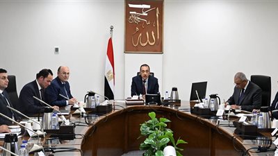 رئيس الوزراء يوجه بخطة شاملة لتطوير زراعة وصناعة الكتان