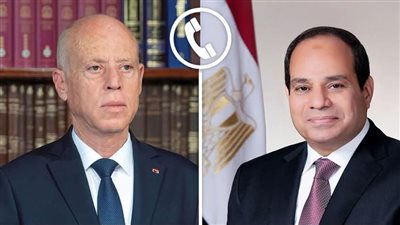 السيسي يؤكد دعم تونس ويبحث مع قيس سعيد تطورات المنطقة