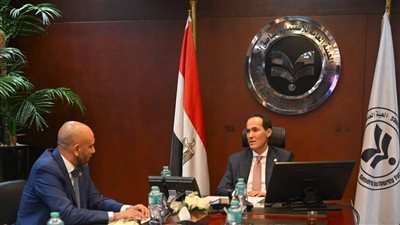 هيئة الاستثمار تبحث مع «موانئ دبي العالمية» خطط التوسع في مصر