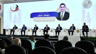 وزير الرياضة: منصة رقمية موحدة لخدمة المصريين بالخارج قريبًا
