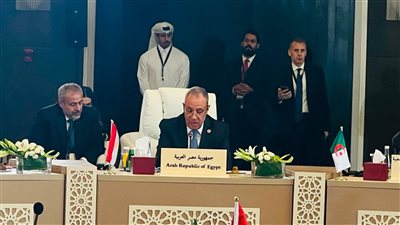 عبد العاطي: مصر ترفض تهجير الفلسطينيين أو المساس بالقدس الشرقية