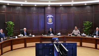 الحكومة توافق على منح لتحلية المياه وقرارات جديدة للتنمية والاستثمار