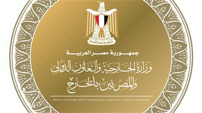مصر تدين استهداف ناقلة نفط إماراتية في مضيق هرمز وتؤكد رفض تهديد الملاحة الدولية