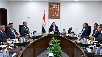 رئيس الوزراء يستعرض مقترح تنفيذ مبادرة 