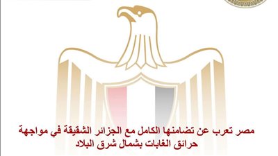 مصر تعرب عن تضامنها الكامل مع الجزائر الشقيقة في مواجهة حرائق الغابات بشمال شرق البلاد