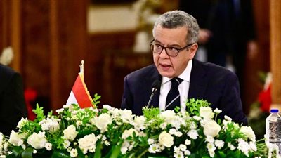 مصر تستضيف الاجتماع التأسيسي لـ«أفروساي – العربية» لتعزيز التعاون الرقابي العربي الأفريقي