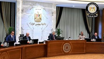 رئيس الوزراء: دخول شريك بضخ سيولة أحد حلول معالجة تعثر الشرك