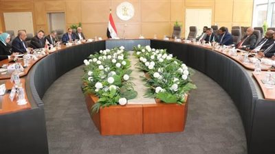 مصر والسودان تبحثان إعادة تأهيل شبكات الكهرباء واستكمال الربط وتعزيز التعاون بمجالات الطاقة المتجددة