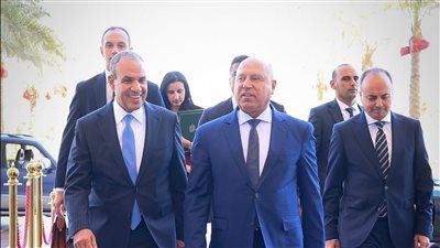 وزير الخارجية يبحث مع وزير النقل مشروعات التنمية في قطاع النقل