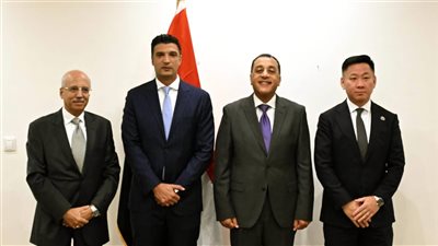 مصر توطّن صناعة البطاريات الكهربائية بشراكة مع «CATL» الصينية باستثمارات تتجاوز ملياري جنيه