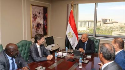 وزير الكهرباء يبحث مع رئيس «IEC» تعزيز التعاون في المواصفات الكهروتقنية