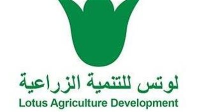 «لوتس للتنمية» ترفع سقف قرض المساهم الرئيسي إلى 100 مليون جن    