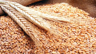 «الحبوب» تجتمع بممثلي التموين والتنمية الصناعية.. غدًا