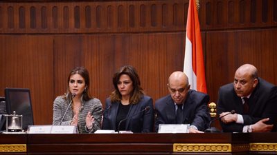 الاستثمار والتعاون الدولي: نسعى لقانون استثمار يجذب القطاع السياحي