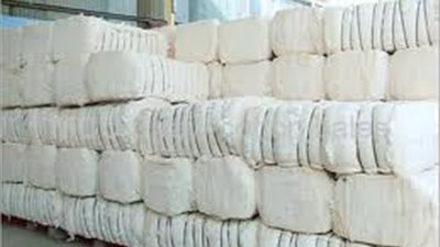 «مصدري الأقطان» يرفض استخدام شعار «القطن المصري» لجمعية أهلية