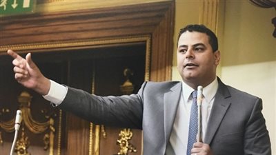 برلماني يستنكر انعدام شرطة السياحة بمنطقة آثار النوبة 