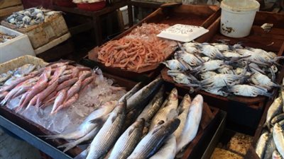  أسعار الأسماك اليوم الإثنين.. والكاليماري بـ60 جنيهًا