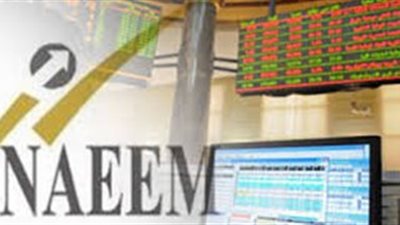 «النعيم للاستثمارت» تدرس توزيع سهم مجاني لكل 10 أسهم 