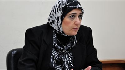 «الشواربي»: الصعيد لم يستفد من مبادرة SMEs.. ولا تقصير من البنوك