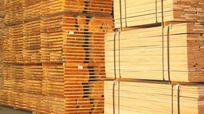 «القابضة للنقل البحري»: زيادة الصادرات لدول إفريقيا والبداية بإثيوبيا