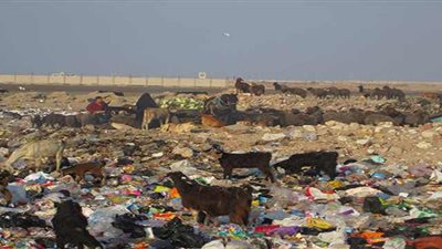 «بورسعيد» تطور«عزبة عوف» بتكلفة 216 مليون جنيه 