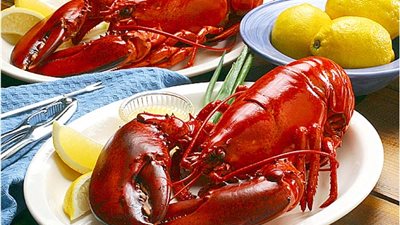 الفقراء يمتنعون.. مأكولات لـ