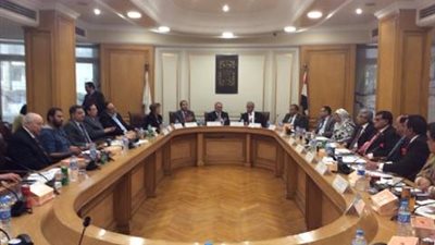 «شعبة الدواجن» تقترح نموذجًا لتربية الطيور في قرى الصعيد