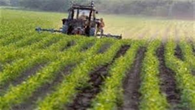 عمومية «إيجيفرت» تقر عدم توزيع أرباح للمساهمين