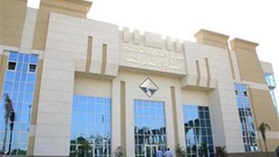 «الصندوق الاجتماعي»: 355 مليون جنيه لتمويل المشروعات الصغيرة بأسوان