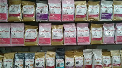 الغرف التجارية تدرس حظر استيراد «أكل القطط والكلاب»