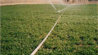  طرح مناقصة لتطوير الري بـ«كفر الشيخ»
