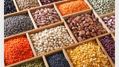 «شعبة الحبوب»: مخزون الفول يكفي 6 أشهر