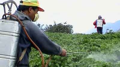 «كفر الزيات» تُقر توزيع 3 جنيهات للسهم