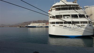 وصول 367 سائحا لميناء سفاجا 