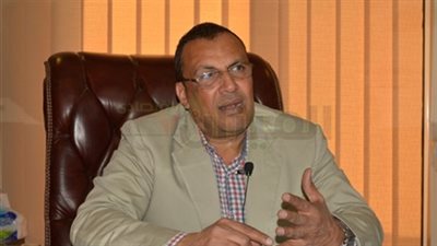 «البستاني»: العاصمة الإدارية «مشروع عالمي» علي أرض مصرية