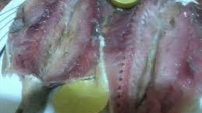 ضبط كمية من السردين والرنجة الفاسدة بالإسكندرية