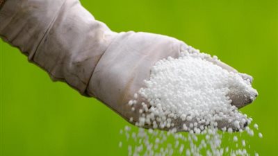 غرفة القاهرة: «الفوسفات» تحتل المرتبة الأولى في واردات الأسمدة